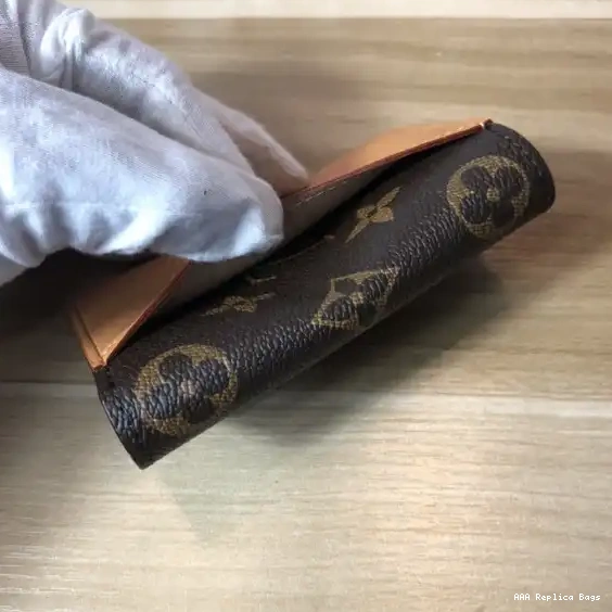 Aaa replica bags LOUIS ORGANIZER VUITTON POCKET 0504